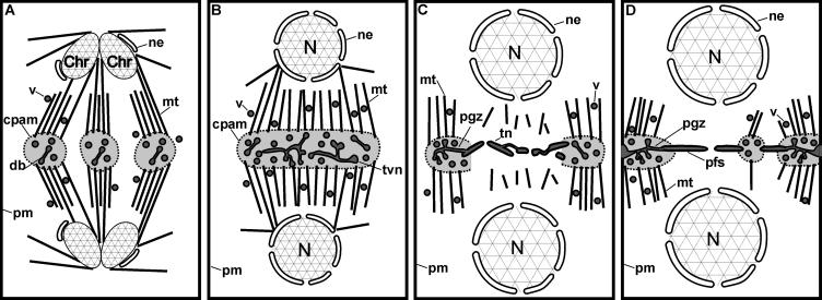 Figure 12.