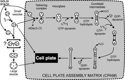 Figure 13.