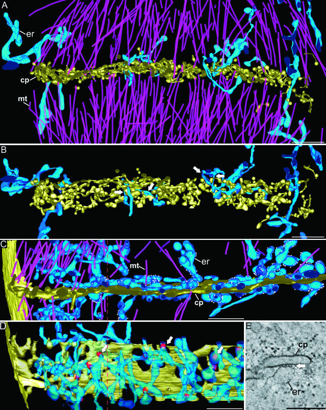 Figure 10.