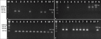 Figure-2
