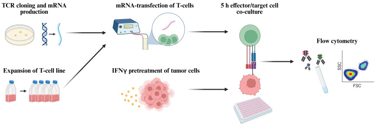 graphic file with name BioProtoc-14-8-4972-ga001.jpg