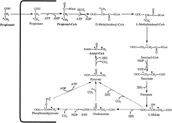 FIG. 8.