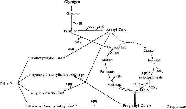 FIG. 9.