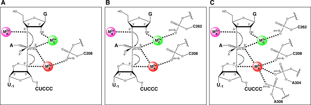 Figure 15