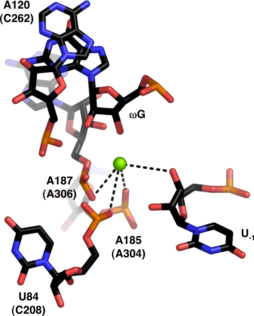 Figure 17