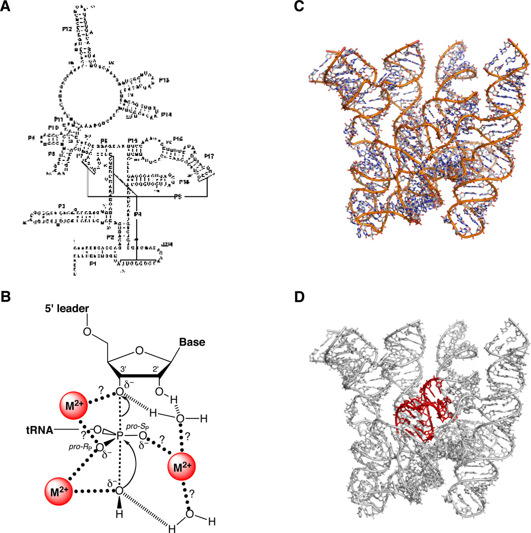 Figure 19