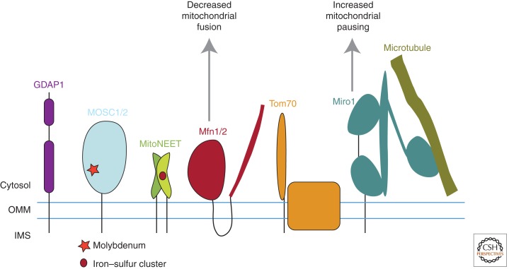 Figure 3.