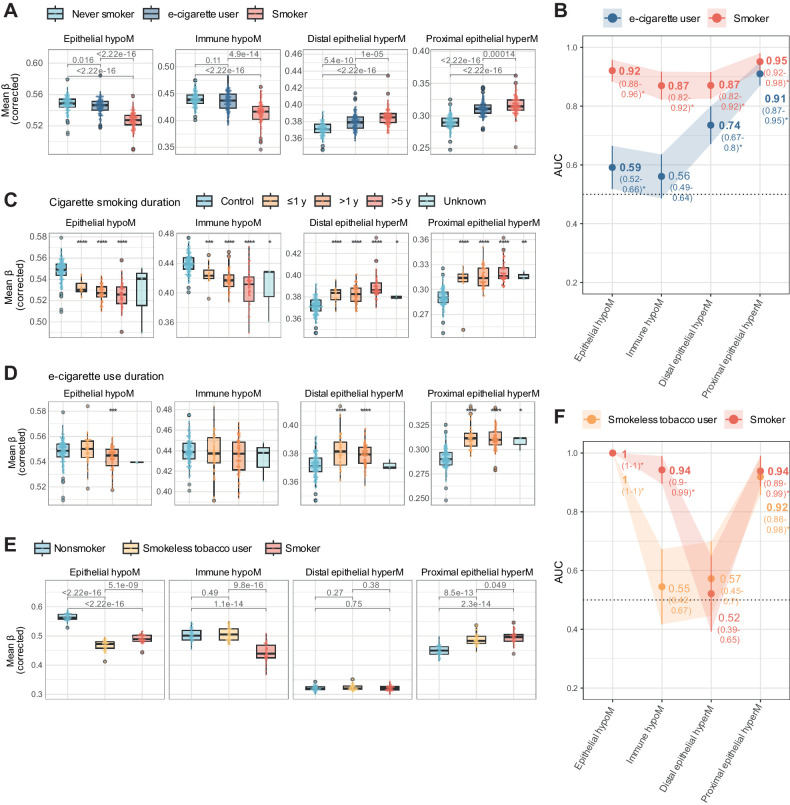 Figure 4. Impact of e-cigarette and smokeless use on cell type–specific epigenetic smoking signatures. A, Mean beta values (corrected) in each of the four sets in saliva samples of never or current smokers or e-cigarette users, corrected for cell type–specific effects. B, AUC of corrected values in each of the four sets comparing smokers or e-cigarette users with controls in the e-cigarette use dataset. C, Mean beta values in each of the four sets in never smokers (control) or smokers, stratified by categorial smoking duration information. D, Mean beta values in each of the four sets in never smokers (control) or e-cigarette users, stratified by categorial e-cigarette duration information. The legend is identical to C. E, Mean beta values (corrected) in each of the four sets in saliva samples of current nonsmokers (prior smoking history not known), smokeless tobacco users, or smokers in the smokeless tobacco use set. F, AUC of corrected values in each of the four sets of CpGs comparing nonsmokers with smokeless tobacco users or smokers in the smokeless tobacco use set. *, P < 0.05; **, P < 0.01; ***, P < 0.001; ****, P < 0.0001 in Wilcoxon test compared with relevant controls (never or nonsmokers, respectively, for A, C, D, and E).