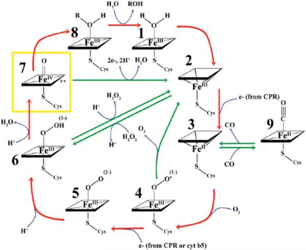 Scheme 1