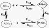 Scheme 3