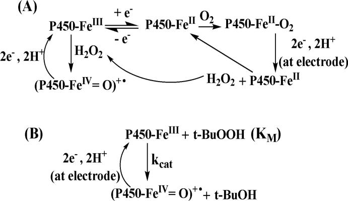 Scheme 4