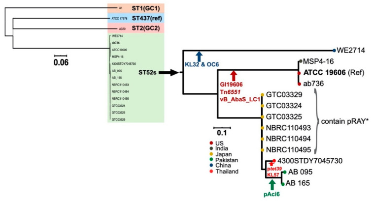 Figure 6