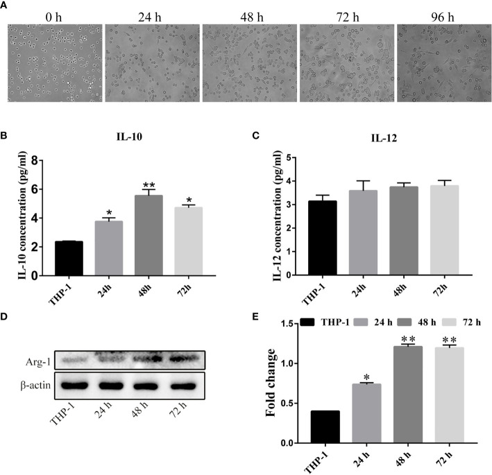 Figure 2