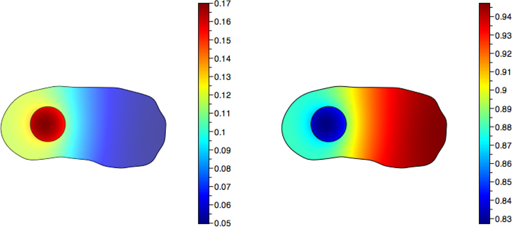 Fig. 10