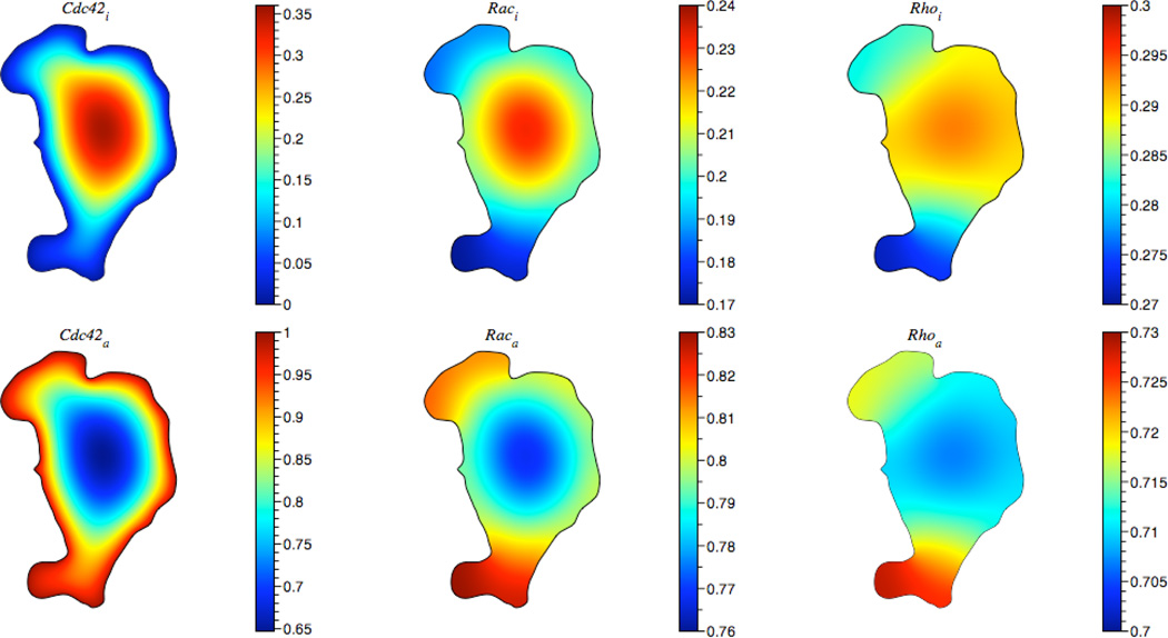 Fig. 12