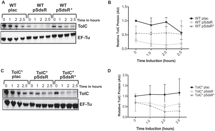 FIG 4