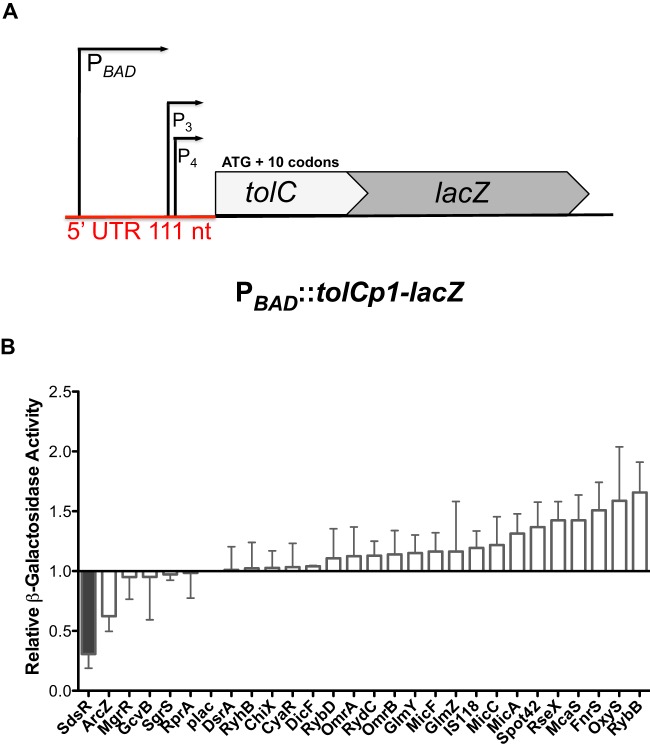 FIG 1