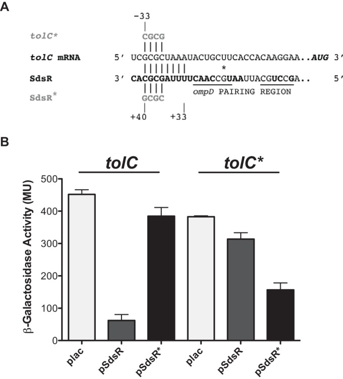 FIG 2