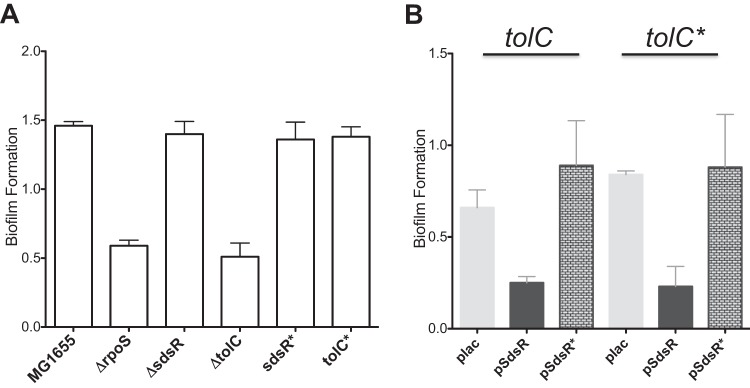 FIG 6