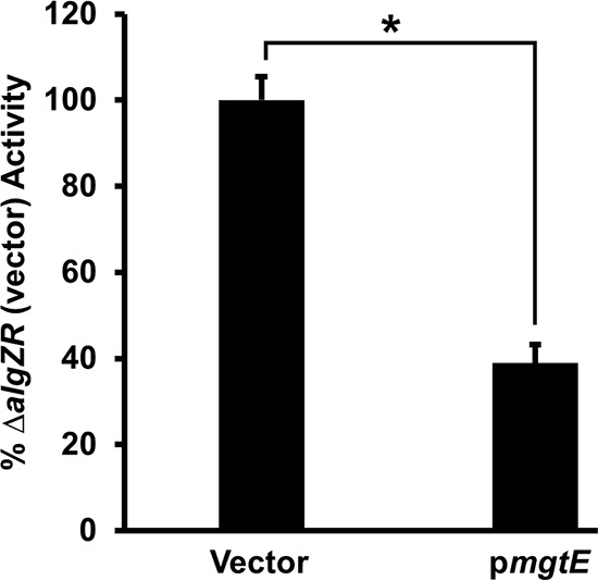 FIG 6