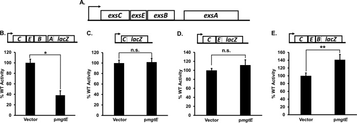 FIG 2