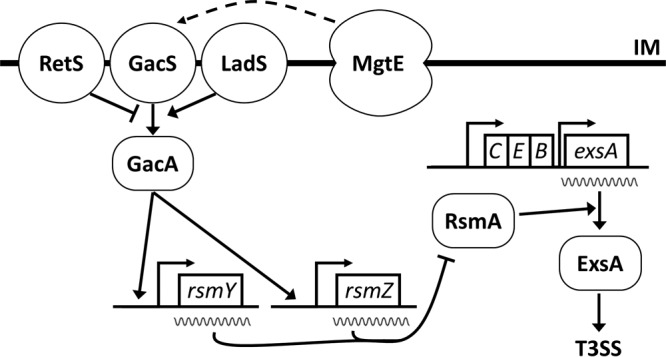 FIG 7