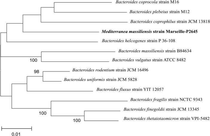 Fig. 2