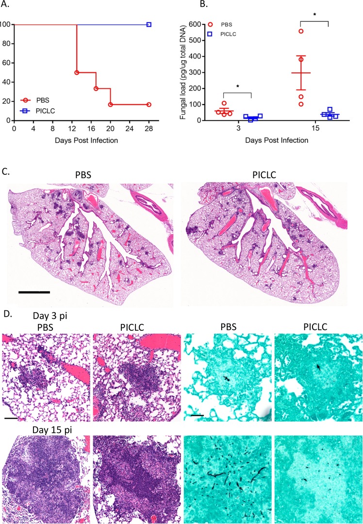 FIG 2 