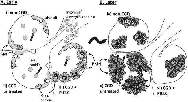 FIG 9 