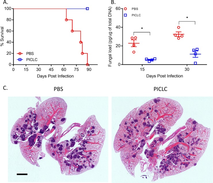 FIG 3 