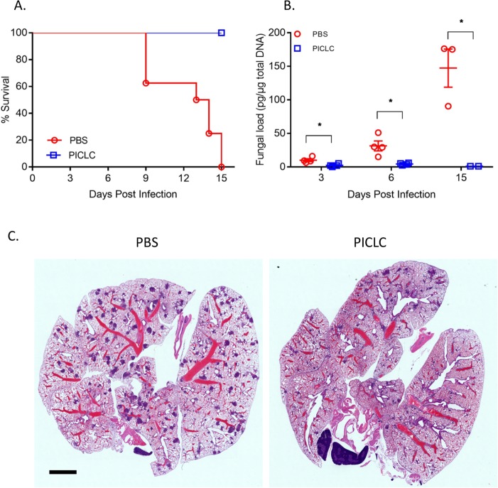 FIG 1 