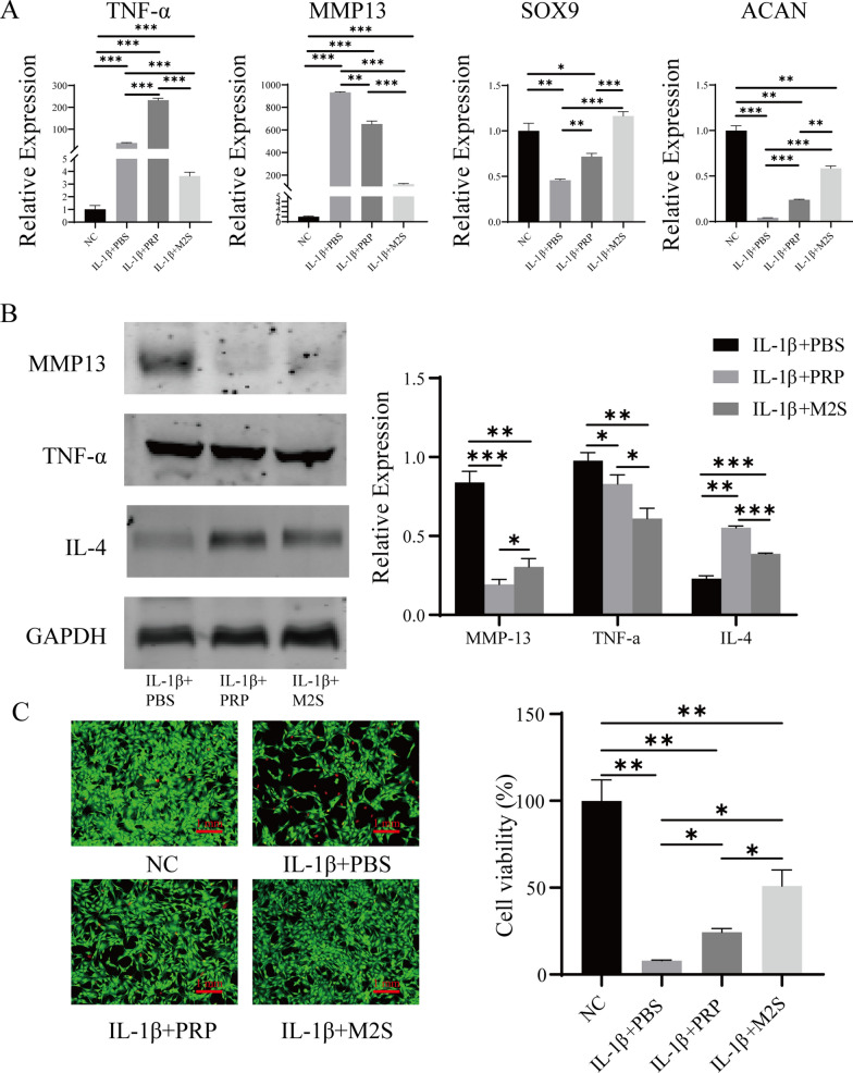 Fig.4