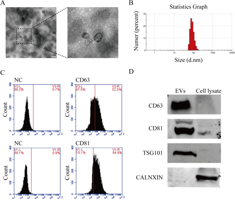 Fig.2