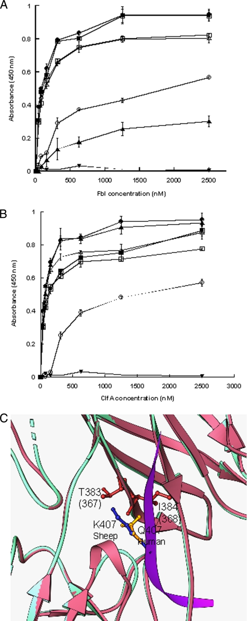 FIGURE 4.