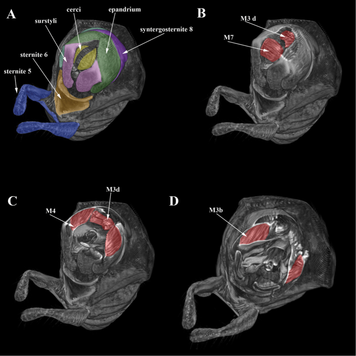 Figure 2.