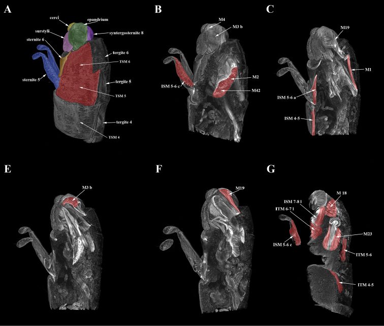 Figure 4.