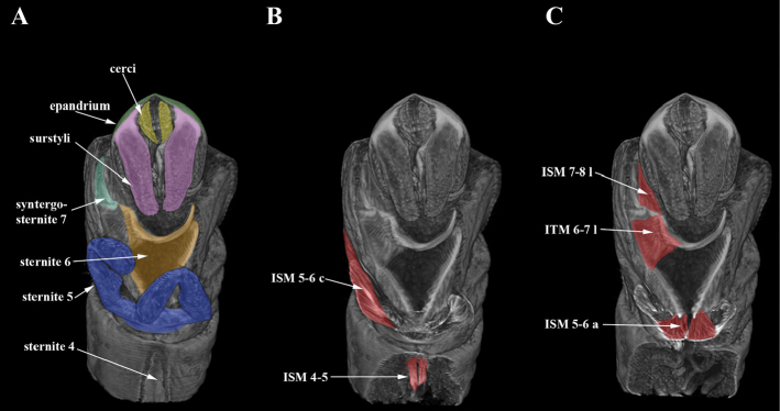 Figure 3.