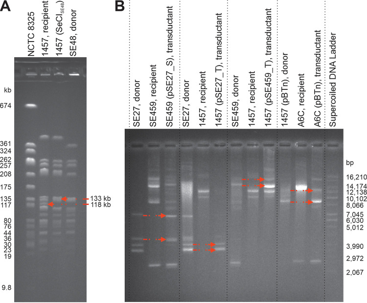 FIG 6