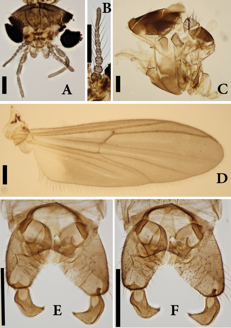 Figure 6.