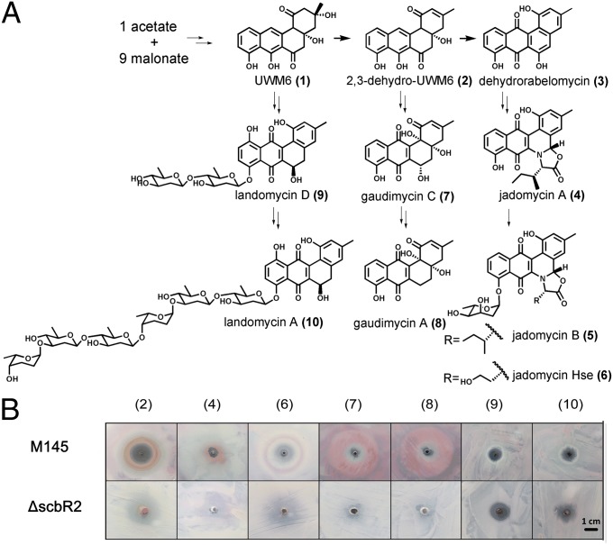 Fig. 6.