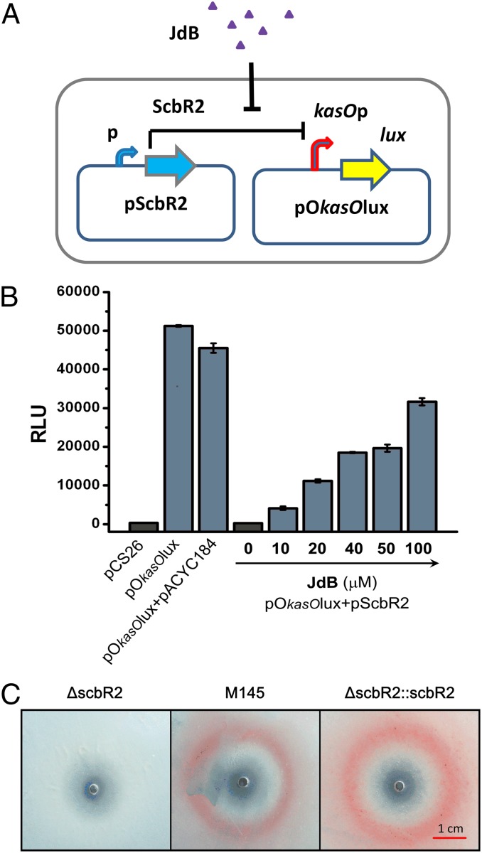 Fig. 3.