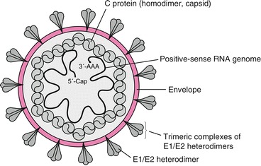 Fig. 14.17