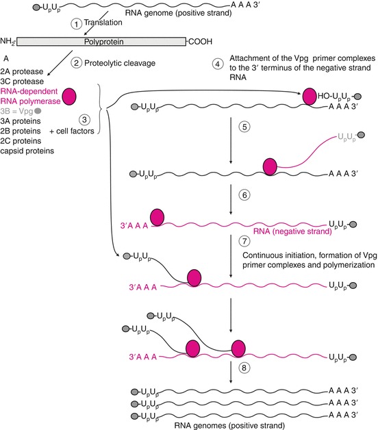 Fig. 14.4
