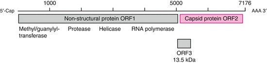Fig. 14.10