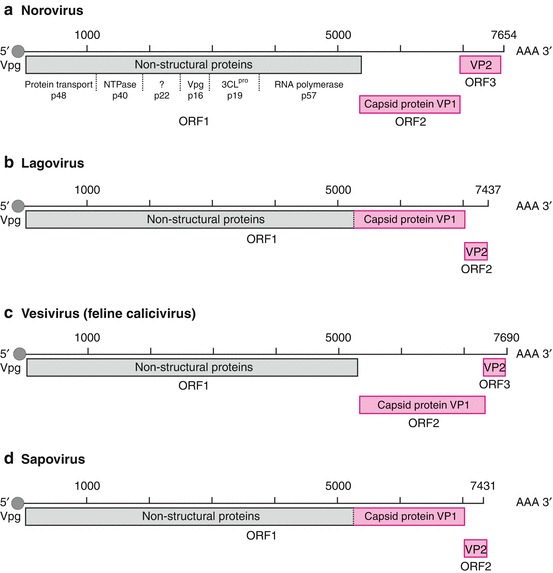 Fig. 14.8
