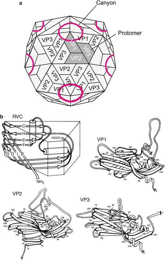 Fig. 14.1