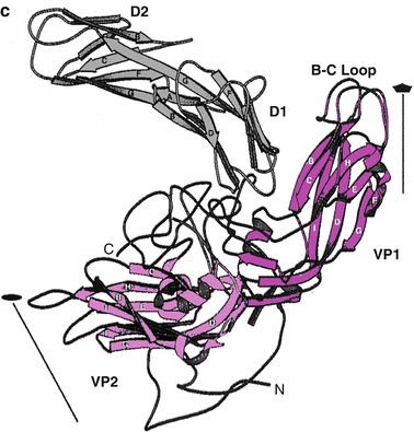Fig. 14.1
