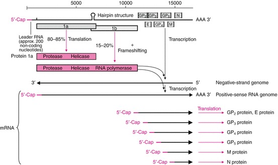Fig. 14.21