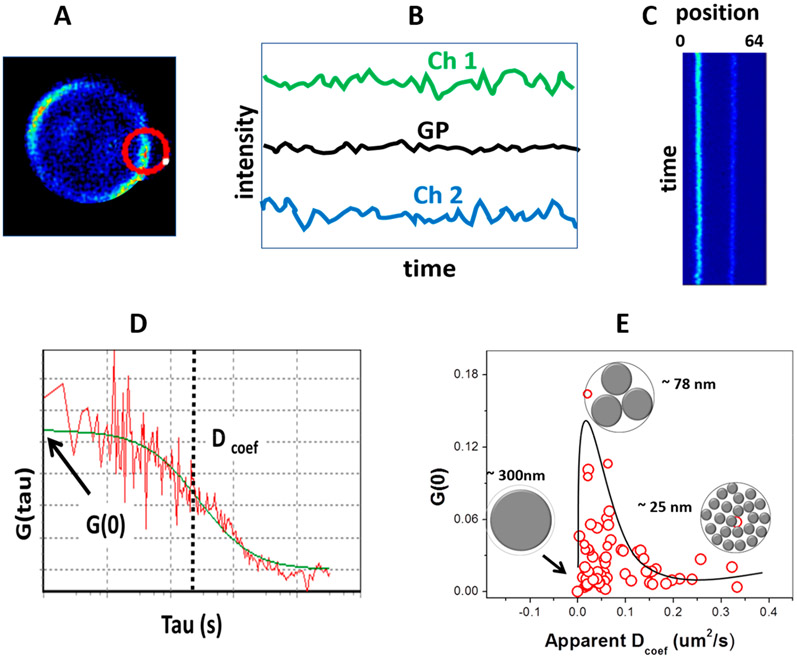 Figure 3.