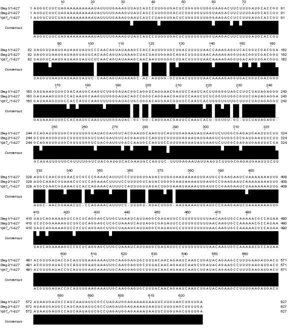 Figure 11